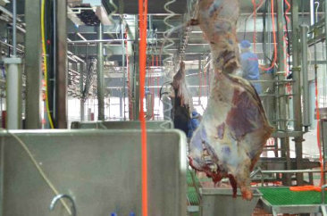 beat365官网,beat365中国唯一官方网站,beat365官网登录中文食品